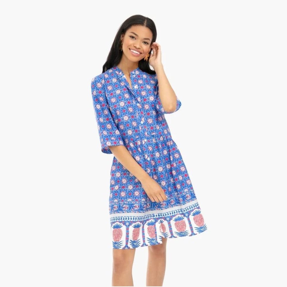 Tuckernuck Pineapple Royal Shirt Dress NWT